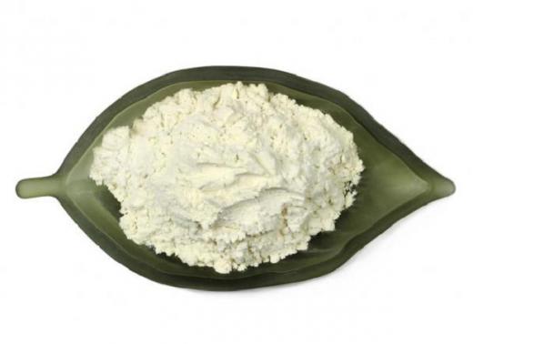 درباره واجبی اسلامی چه می دانید؟