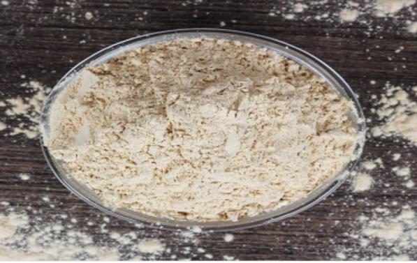 آنچه که درباره واجبی باید بدانید